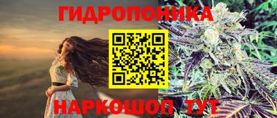 винт Пушкино
