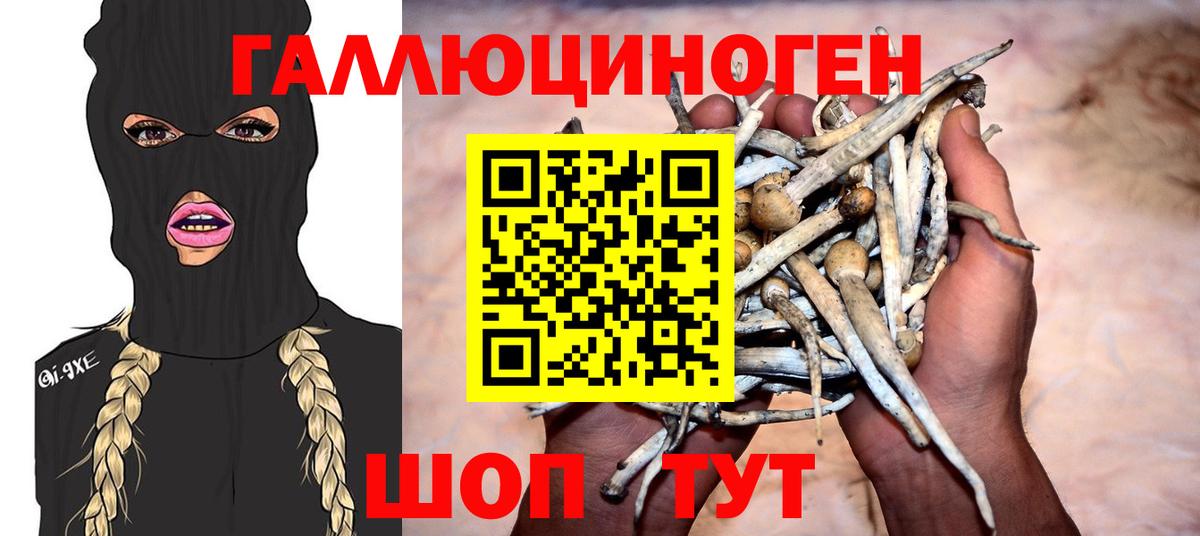 Петропавловск-Камчатский  как найти закладки  Псилоцибиновые грибы GOLDEN TEACHER  Вход с VPN  Галлюциногенные грибы мицелий 